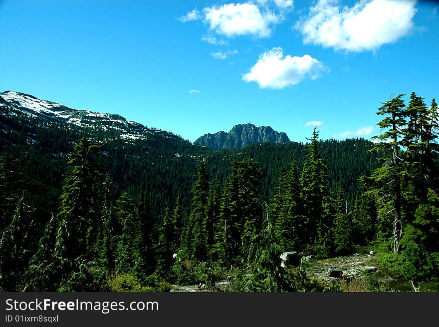 Wilderness scene in North Vancouver