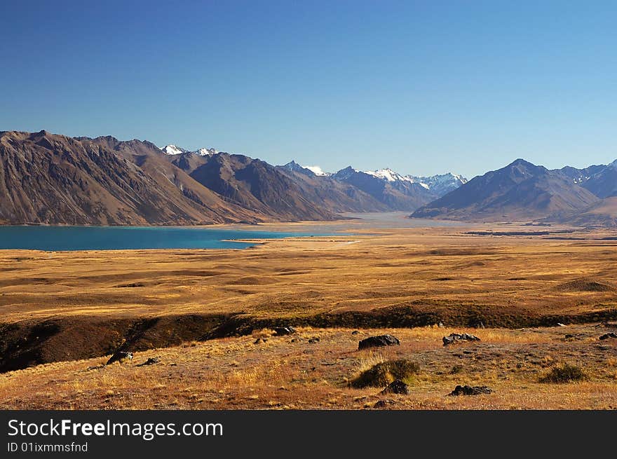 Scene at Lake Tekapo, New Zealand