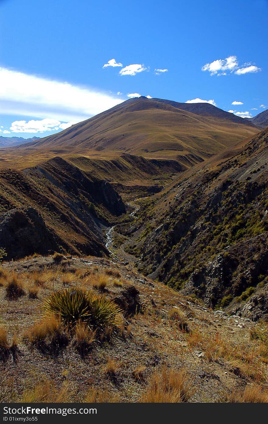 Spaniard grass and river valley in the Mackenzie Country, South Island, New Zealand