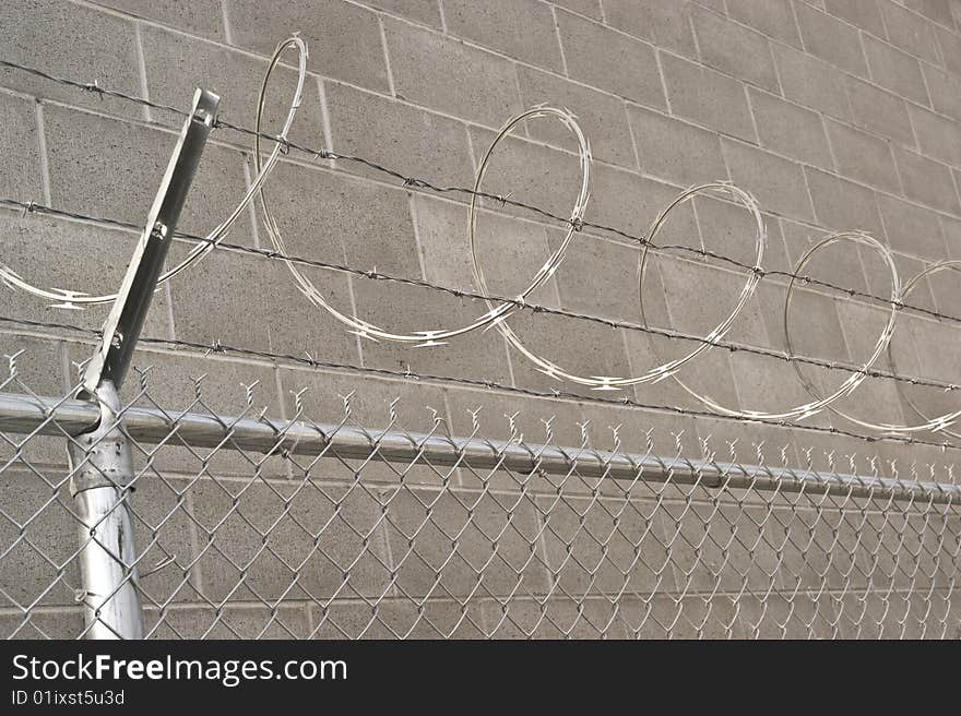 Coiled razor wire on top of a chain link fence. Coiled razor wire on top of a chain link fence