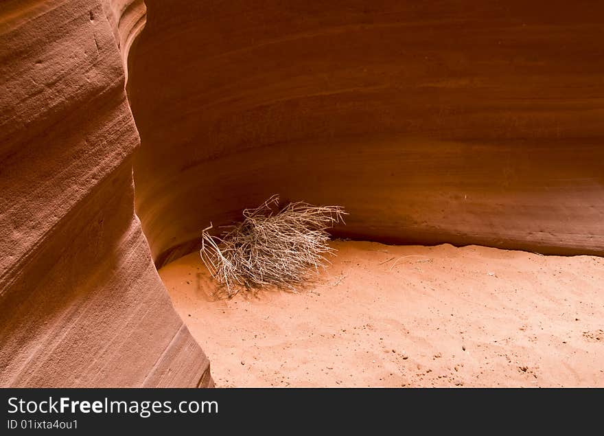 A tumbleweed sits inside a sandstone slot canyon. A tumbleweed sits inside a sandstone slot canyon