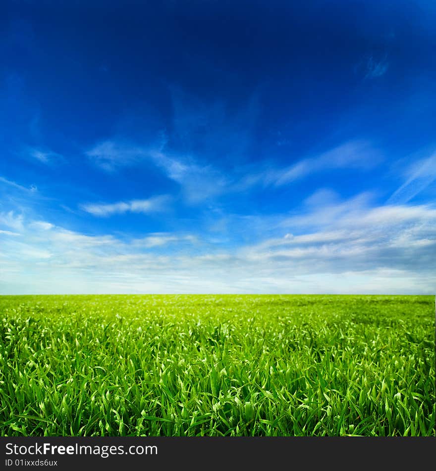 Background of cloudy sky and grass. Background of cloudy sky and grass