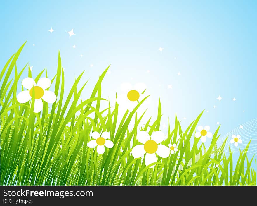 Spring meadow beautiful, vector illustration