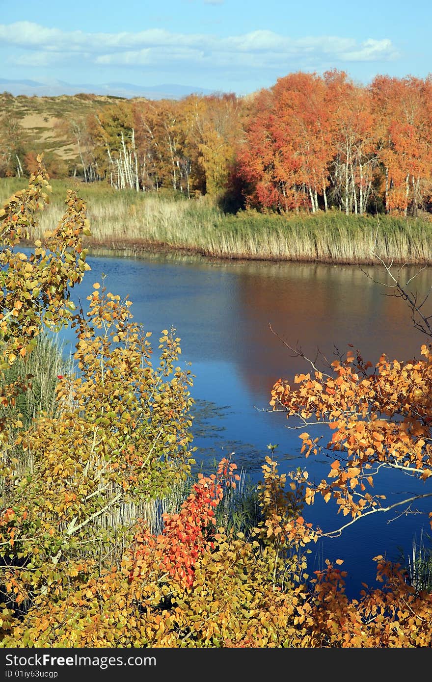 Fall landscape in the park.