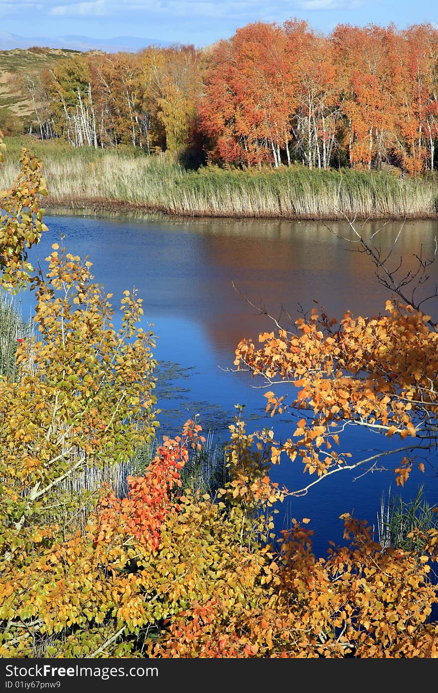 Fall landscape in the park.xinjiang,china