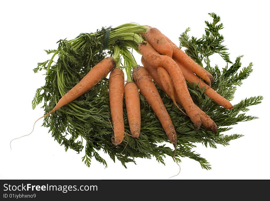 Carrots, fresh of the earth against a white background