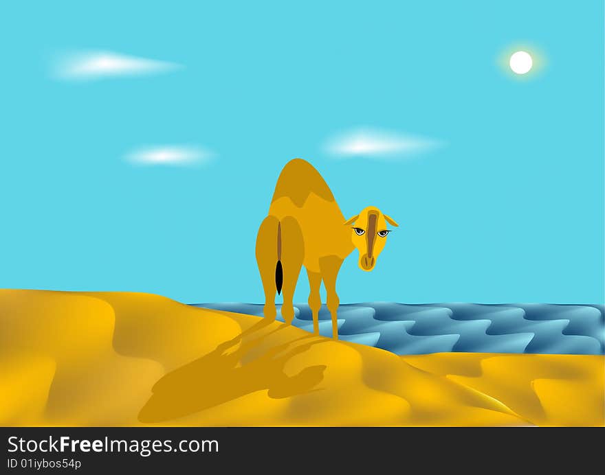 Solitary camel in desert ashore epidemic deathes