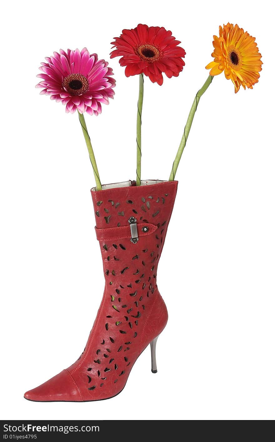 Three flowers (gerber) in female boot. Three flowers (gerber) in female boot