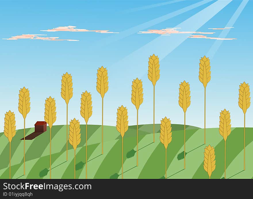 An illustration about agriculture. In particular on grain growing.