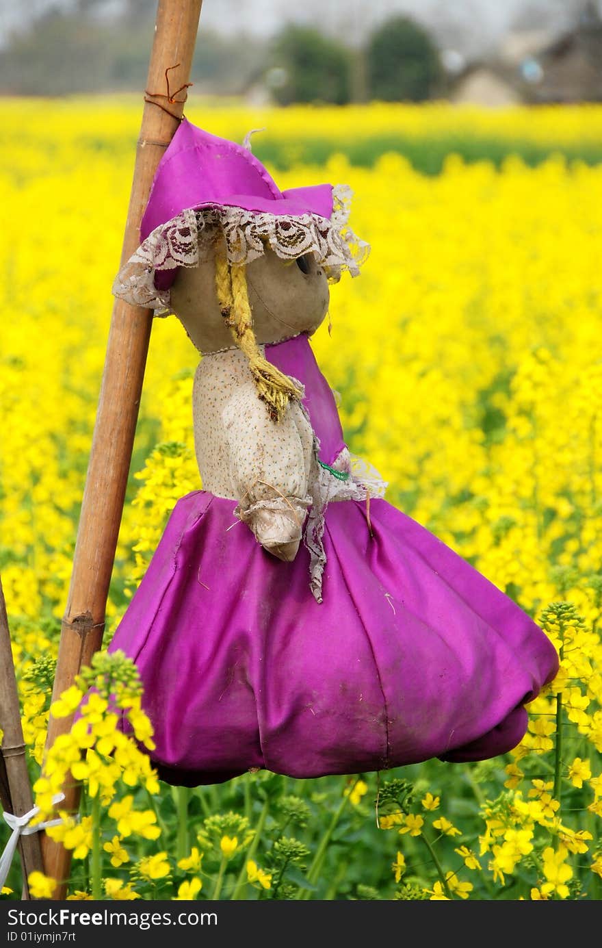 Pengzhou, China: Doll Scarecrow in Rapeseed Field