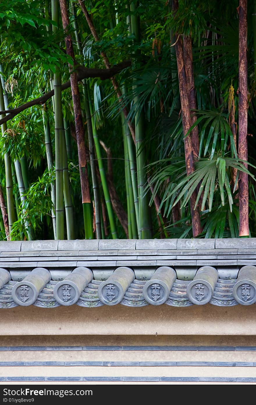 Temple's fence and bamboo forest, Kyoto, Japan