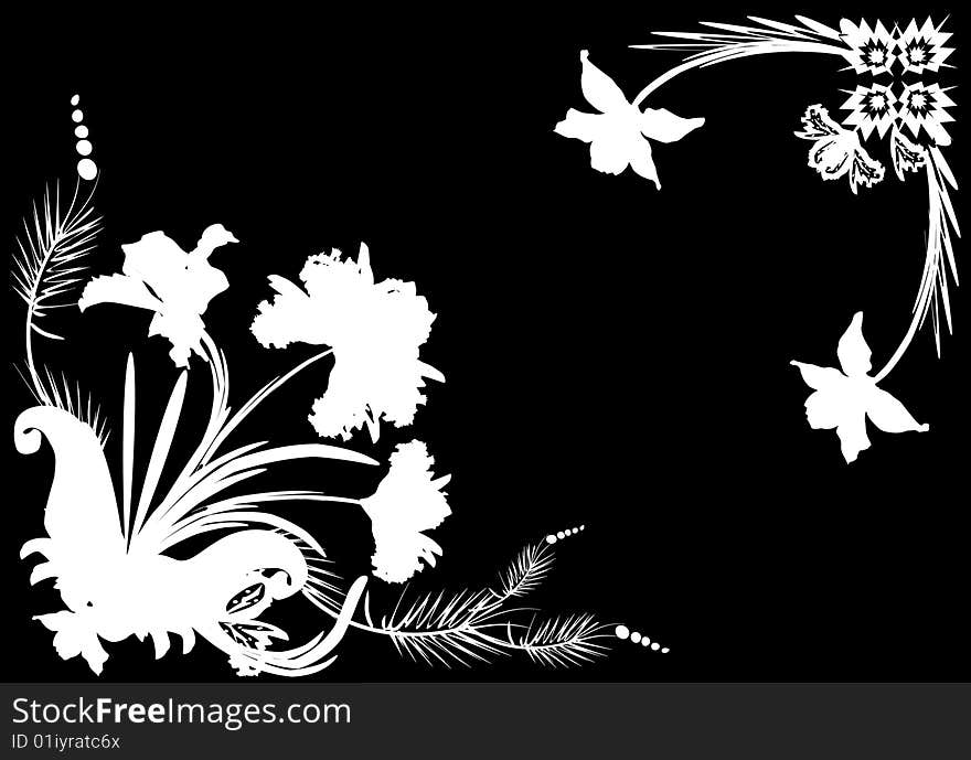 Illustration with white orchid frame on black background