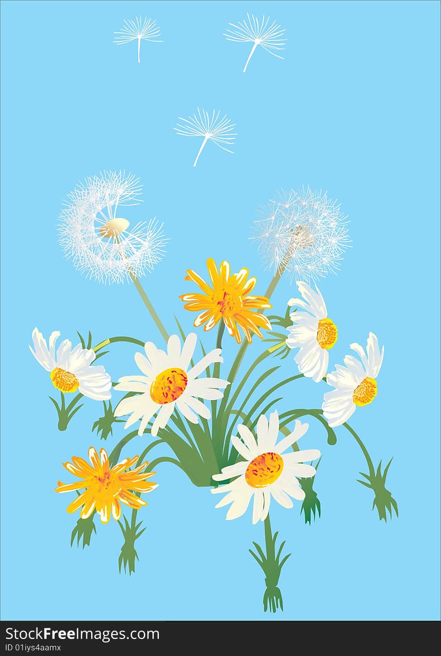 Illustration with white dandelions and chamomilles