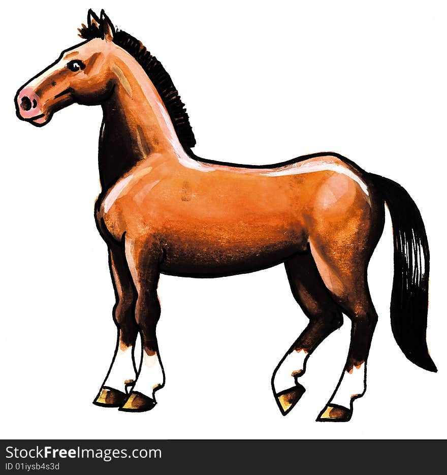 Brown Horse