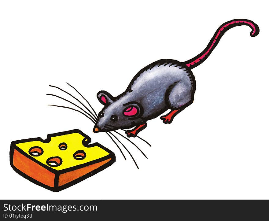 Grey mouse animal with cheese