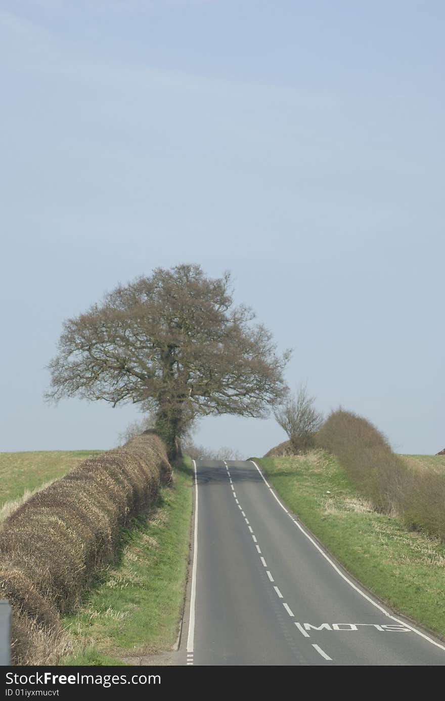 A lonely road which disappears over a hill, with a tree in the hedgerow,. A lonely road which disappears over a hill, with a tree in the hedgerow,