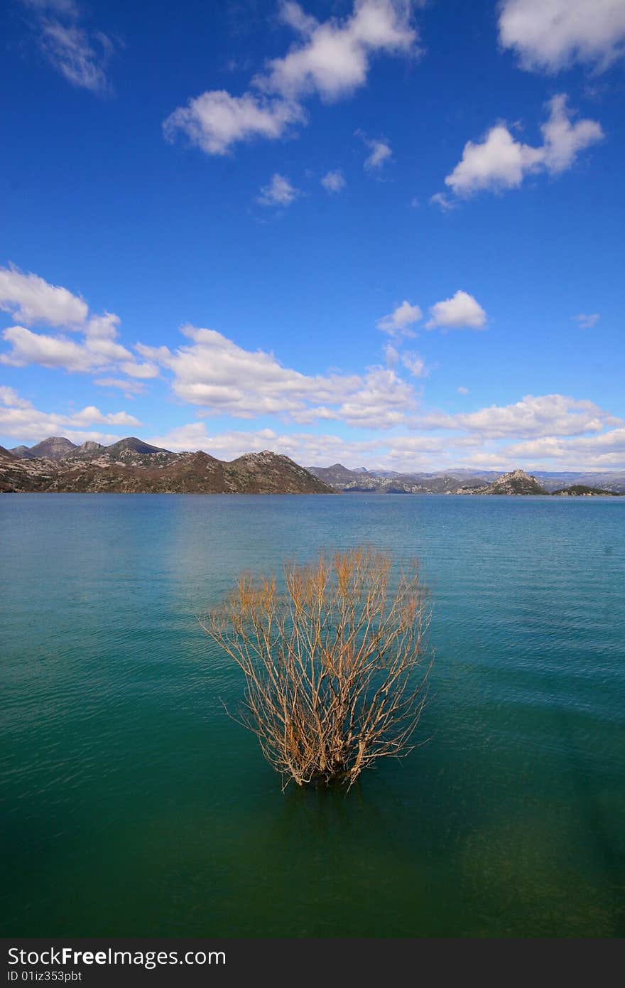 Skadar Lake