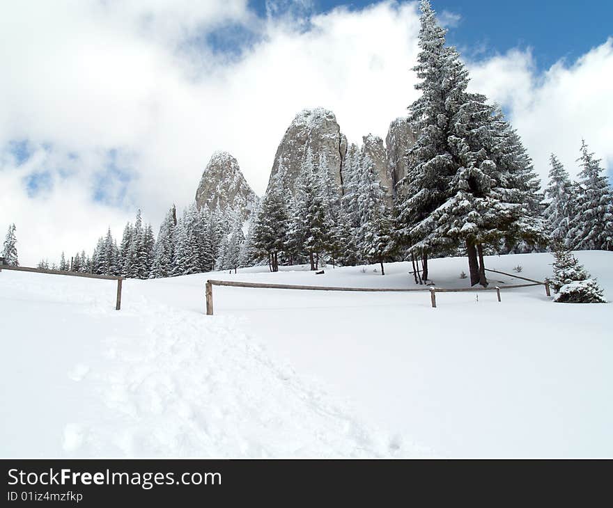 Beautiful winter landscape