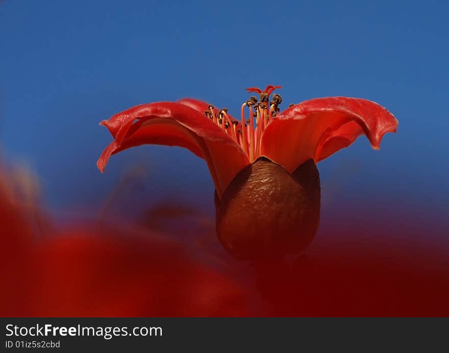 This shot was done at the desert area. This shot was done at the desert area