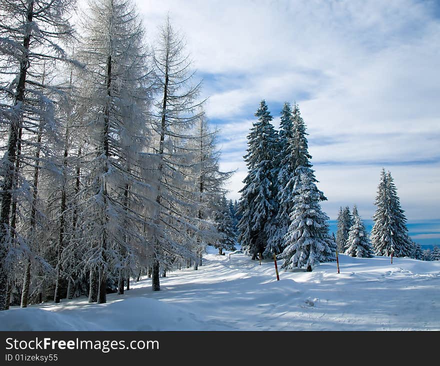 Winter landscape