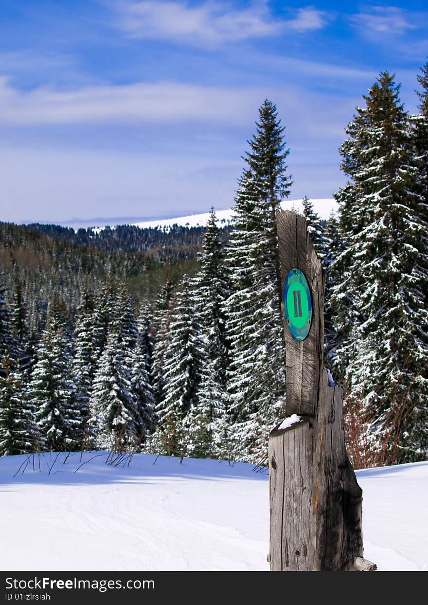 Winter Landscape