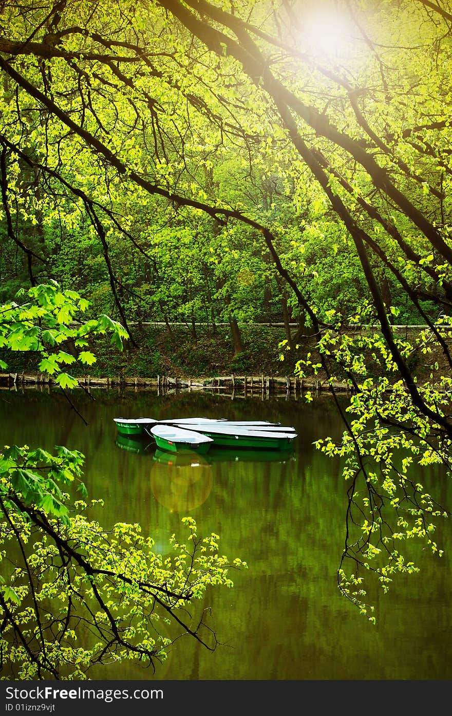 On the summer lake