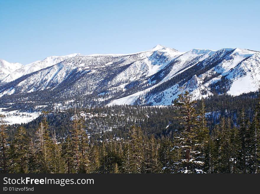 The view from a trail on Mammoth Mountain, CA