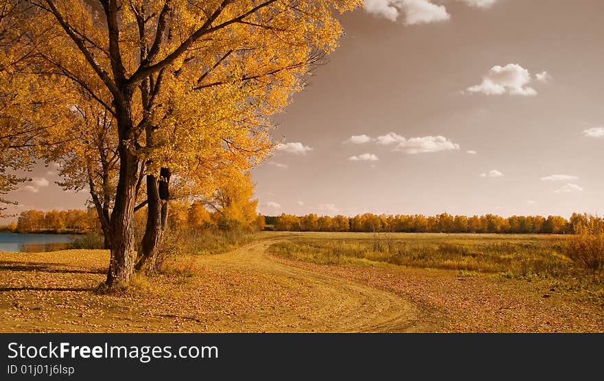 Road near river. Autumn landscape.