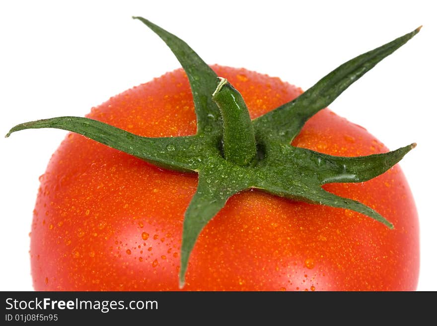 Tomato isolated on a white background