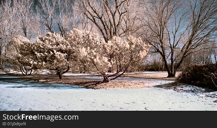 Winter scene shot with an infrared filter. Winter scene shot with an infrared filter