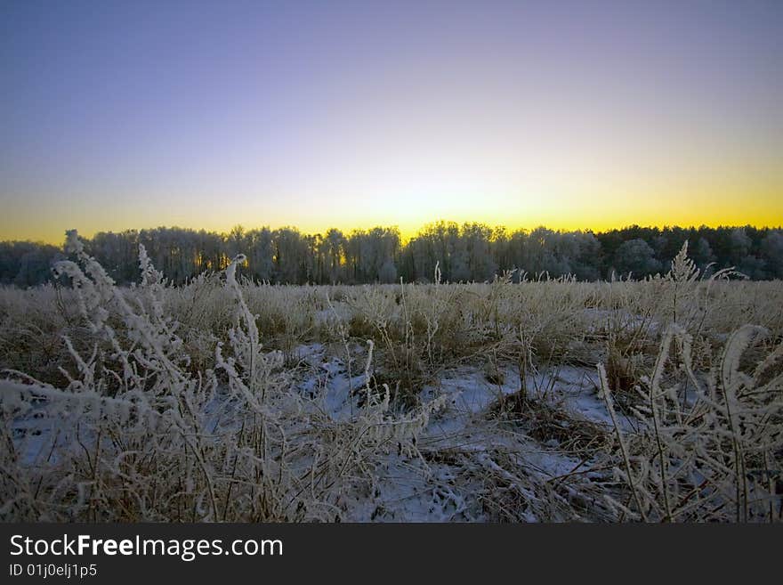 The winter field and forest on the sunset background colors. The winter field and forest on the sunset background colors.