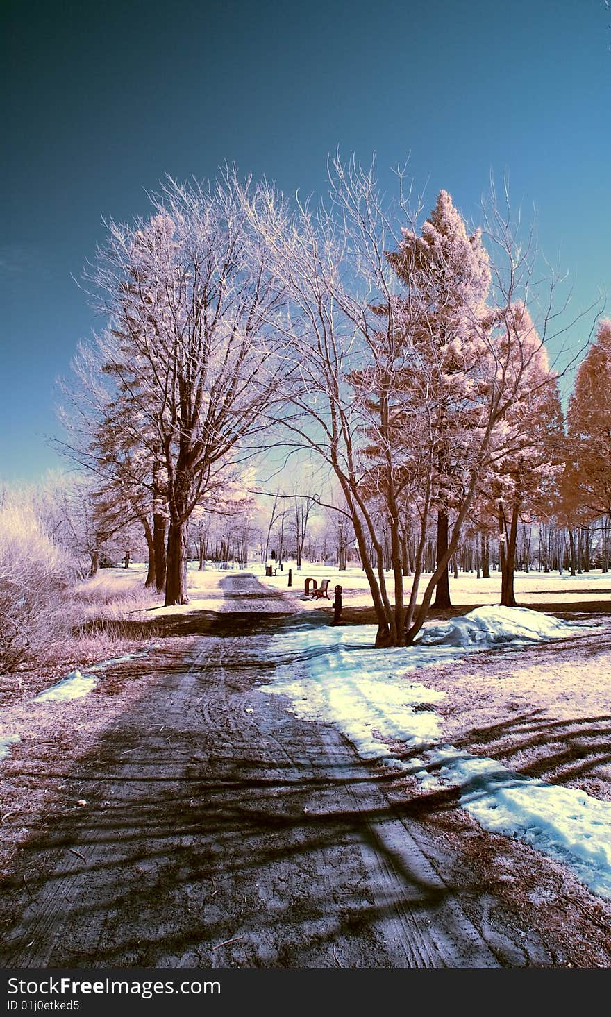 Winter scene shot with an infrared filter. Winter scene shot with an infrared filter