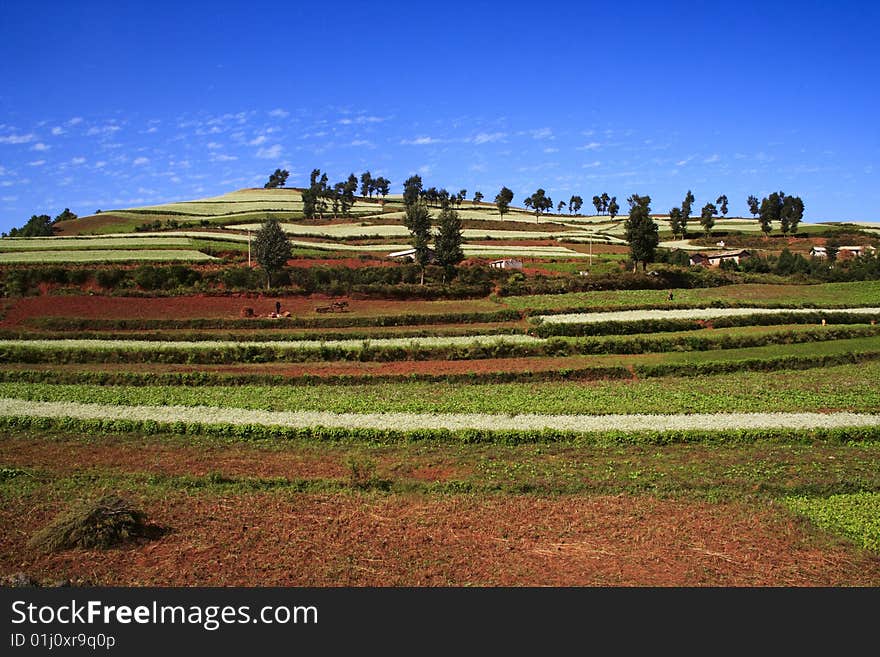 The Red Soil of Dongchuan