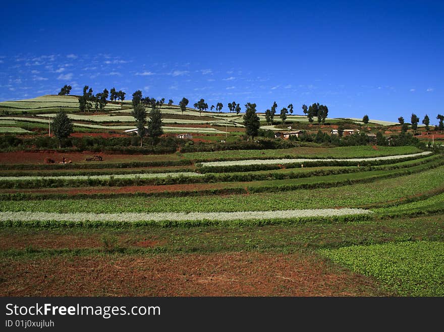 The Red Soil of Dongchuan