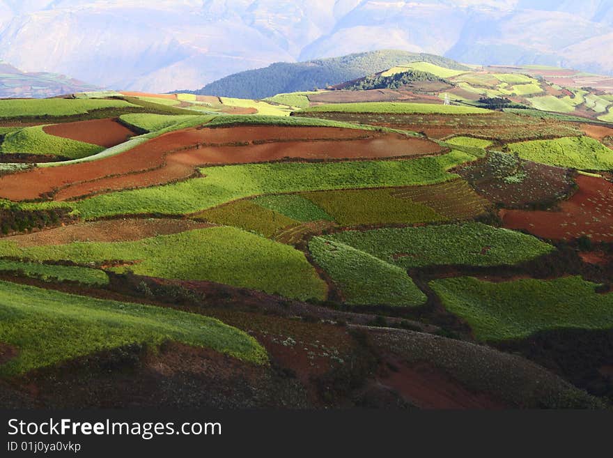 The Red Soil of Dongchuan