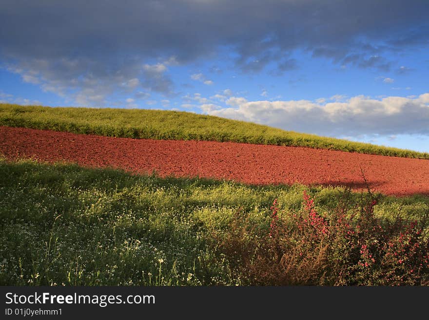 The Red Soil of Dongchuan