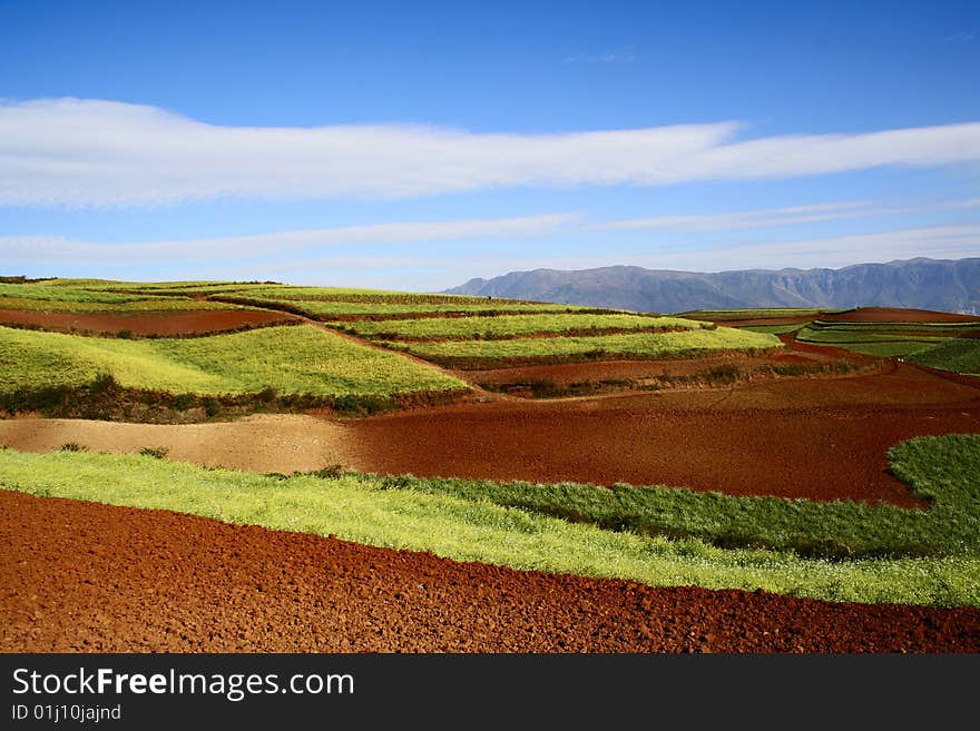 The Red Soil of Dongchuan