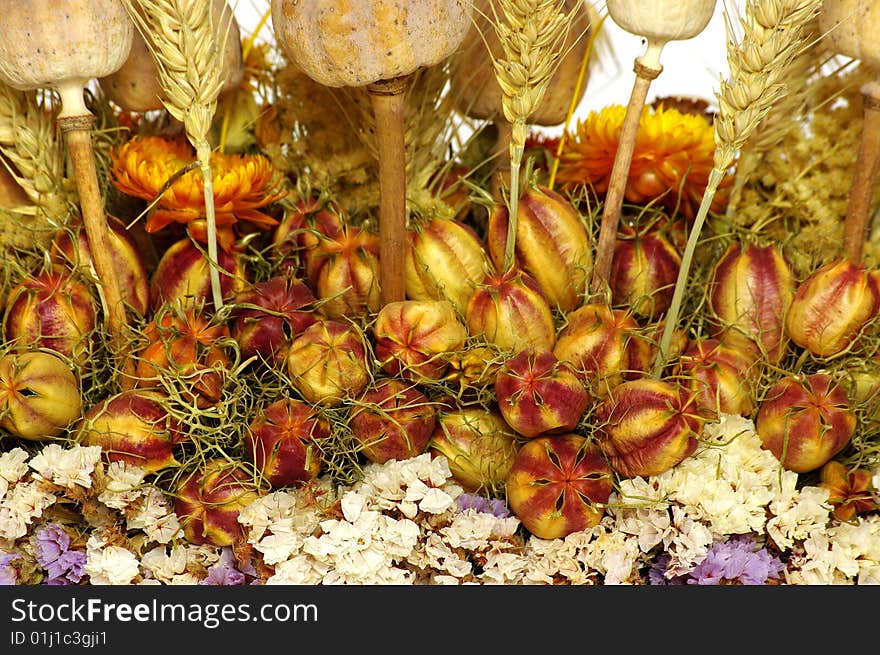 Dry Flowers