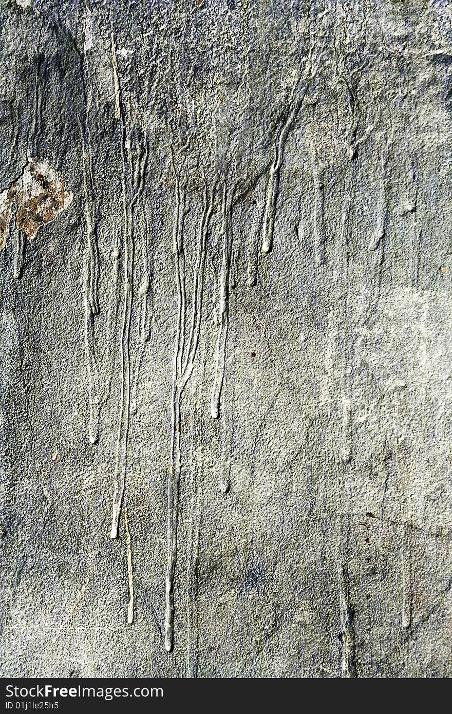 Texture of grunge cracked wall. Texture of grunge cracked wall