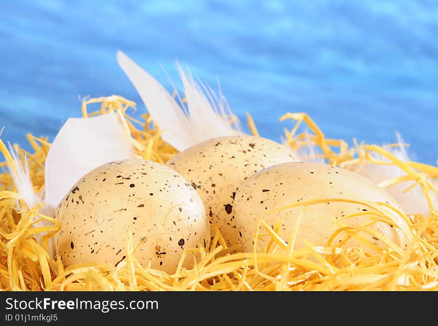 Three eggs and white feathers in yellow staw. Three eggs and white feathers in yellow staw