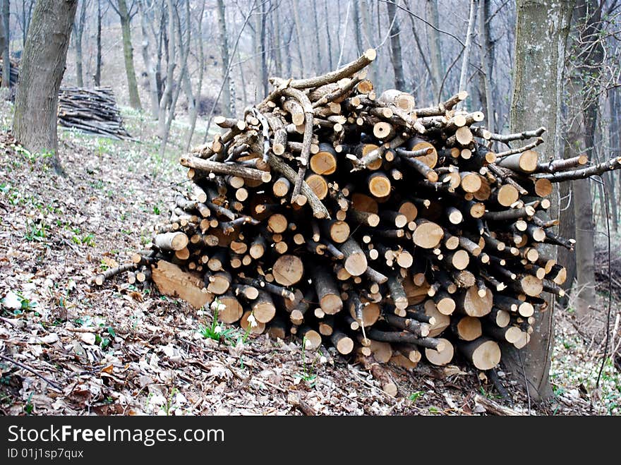 Stacked Logs