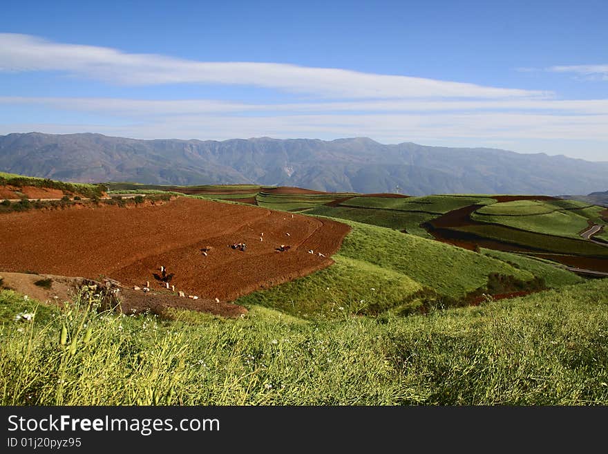 The Red Soil of Dongchuan