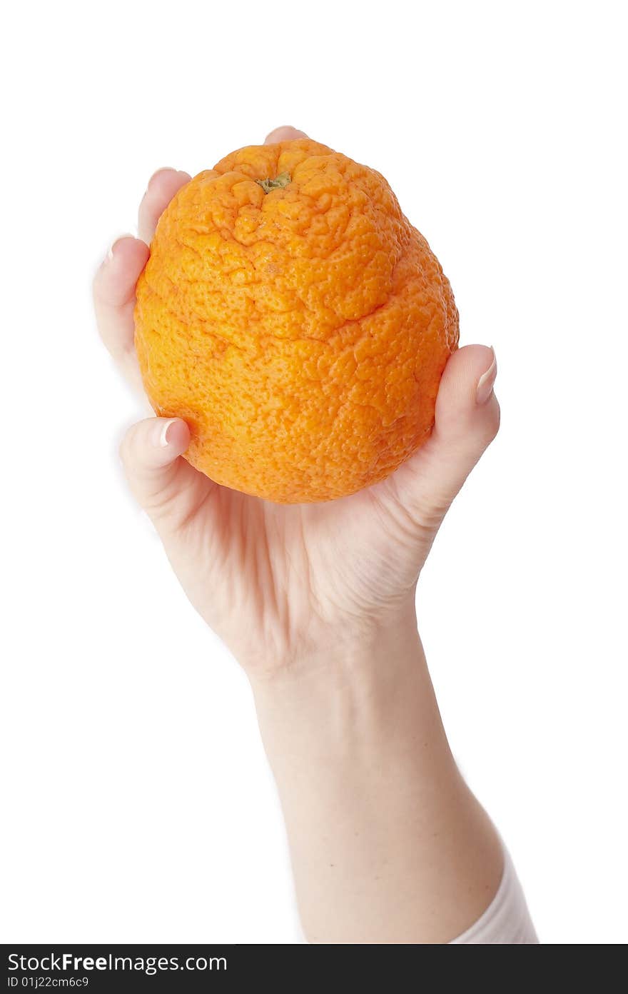 Orange in hand on white background.Close-up