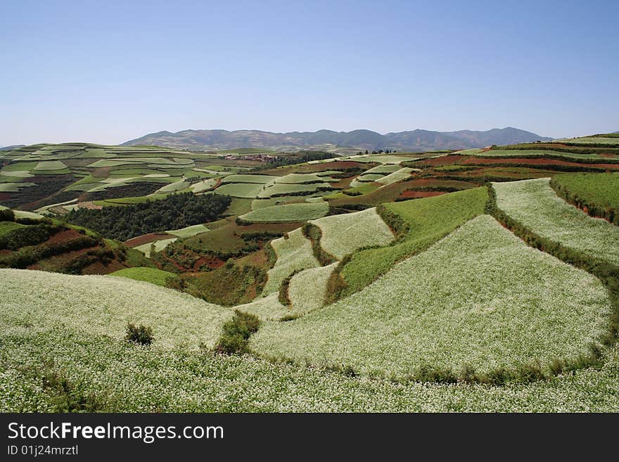 The Red Soil of Dongchuan