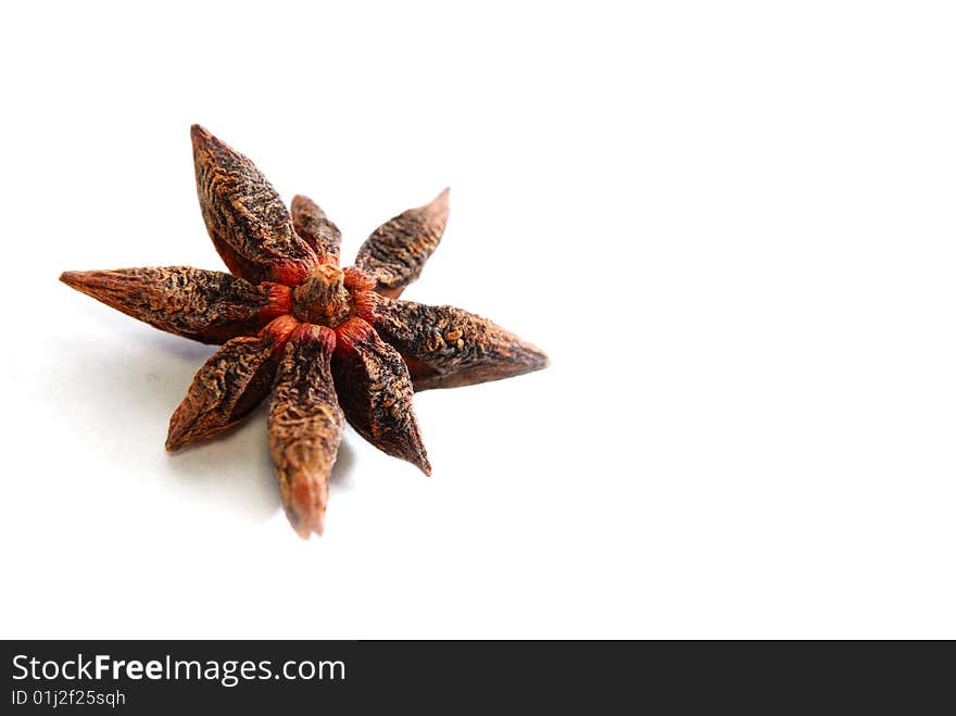 Isolated anise star in white background