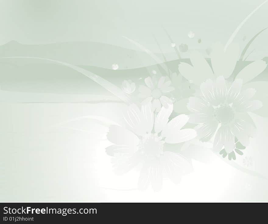 Floral background with camomile flowers