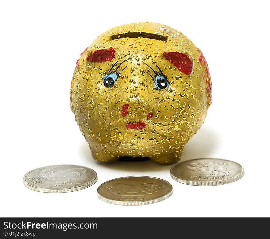 Funny yellow piggy bank at save money