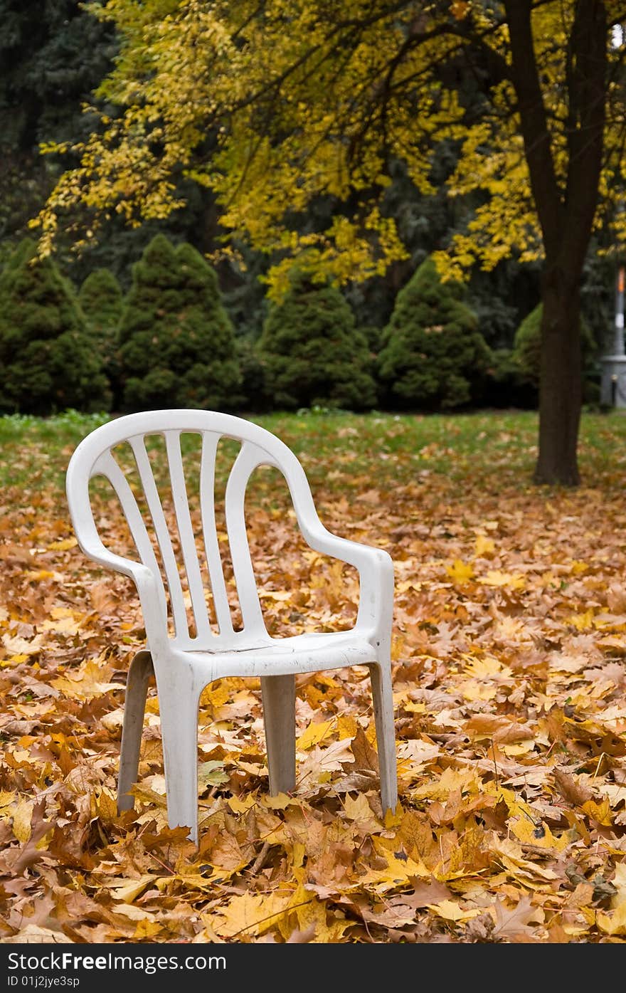 Yellow foliage in neglected park