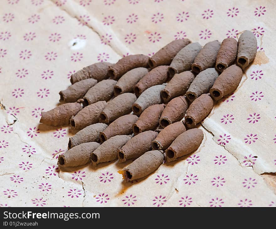 Closeup of naturally sorted wasp cocoons or nest. Closeup of naturally sorted wasp cocoons or nest.