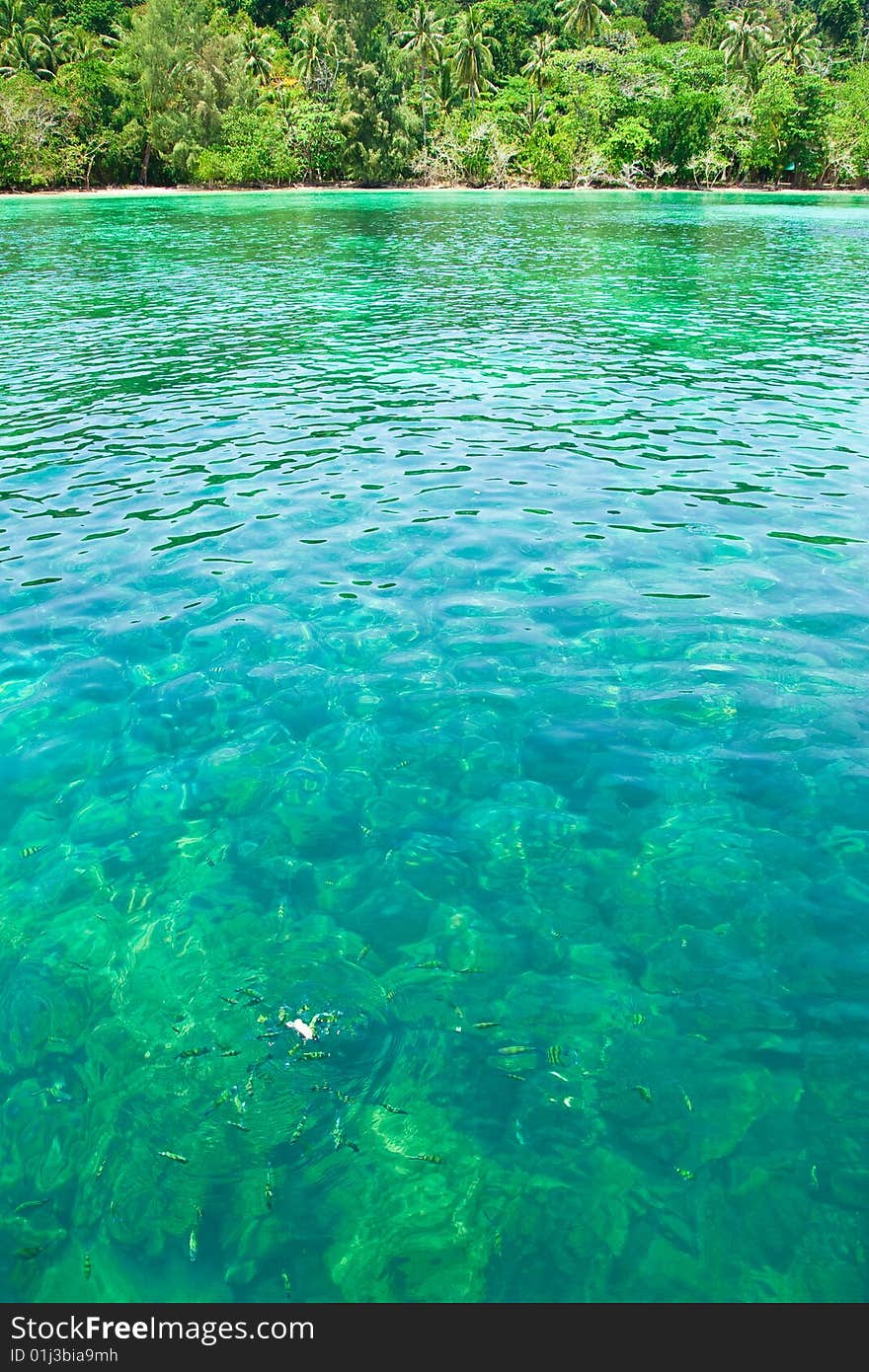 Fish in clear water, Kra Darn island, Trang province, Thailand. Fish in clear water, Kra Darn island, Trang province, Thailand.